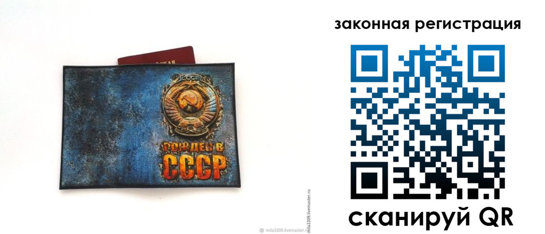 прописка поиск в Курчатове
